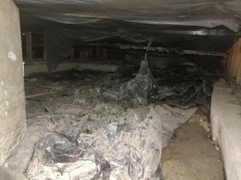 Nasty Crawl Space