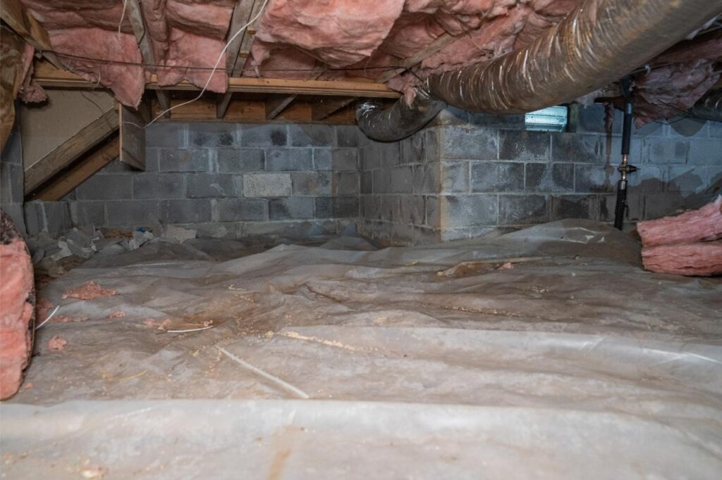 Crawl Space in Need of Encapsulation