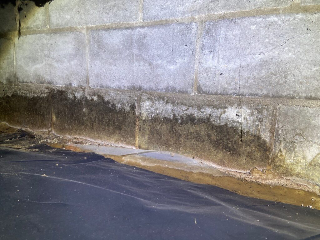 Efflorescence and Water Stains