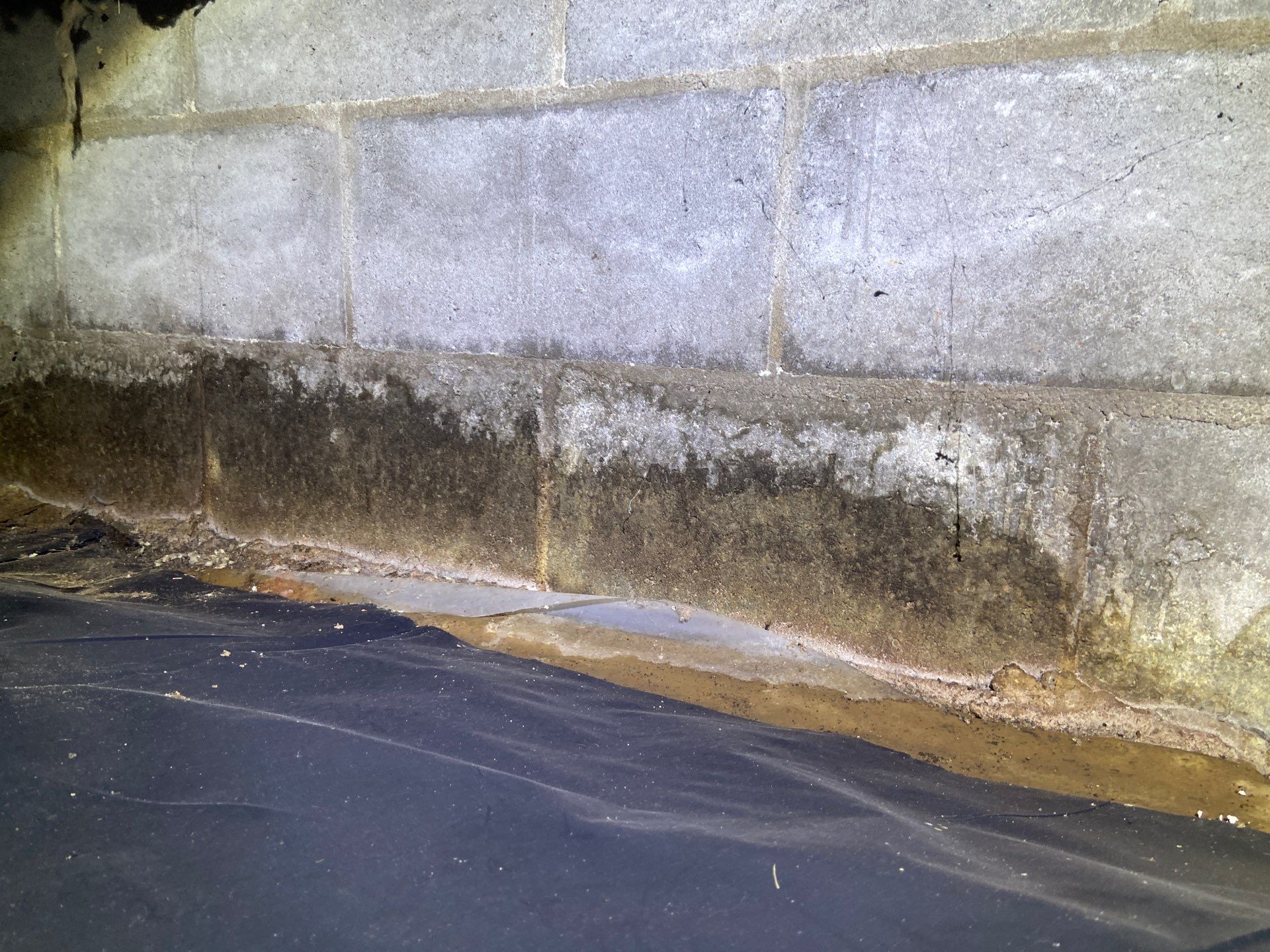 Efflorescence on Block Walls