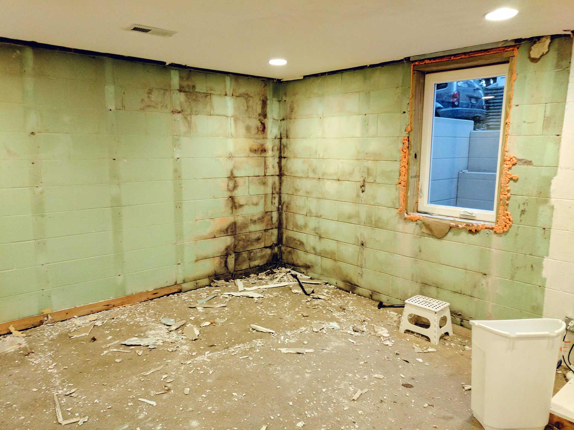Bad Basement and window