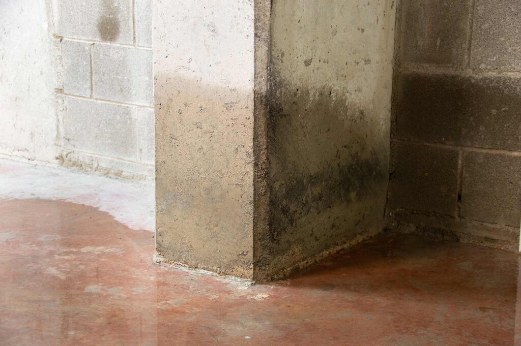Wet Basement
