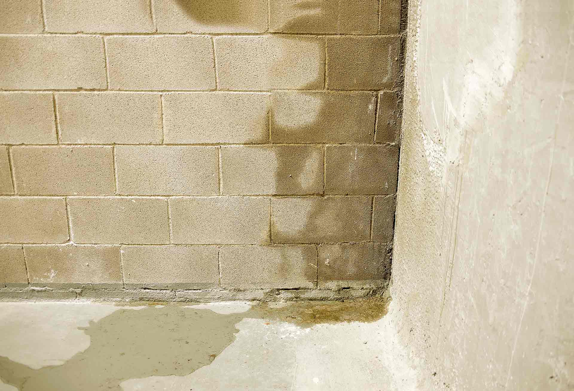 Wet Basement Block Wall